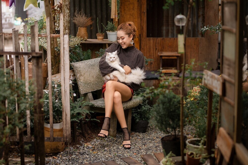Unleashing Your Passion for Pets: A Guide to Earning Through Pet Sitting Websites